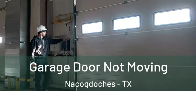  Garage Door Not Moving Nacogdoches - TX