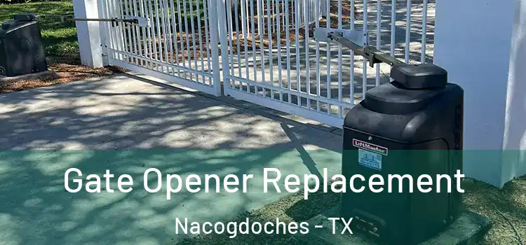  Gate Opener Replacement Nacogdoches - TX